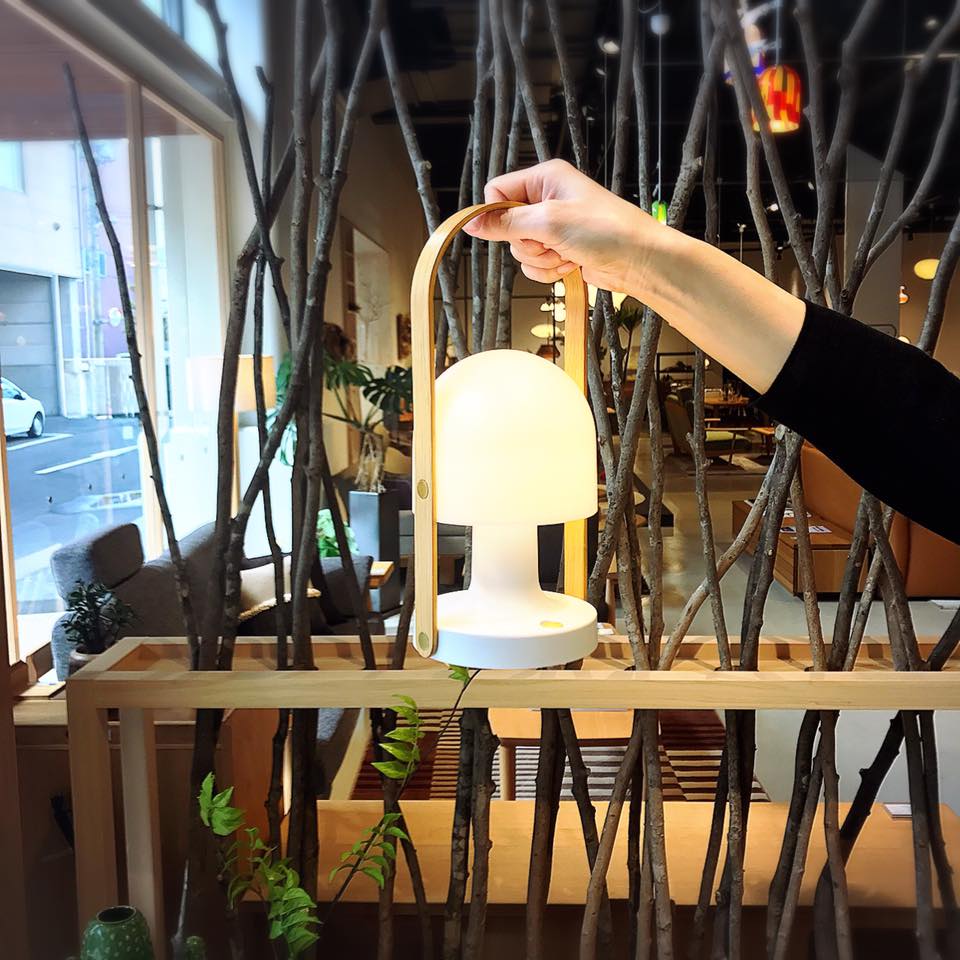 16938995_661996293984908_643081948122667350_n